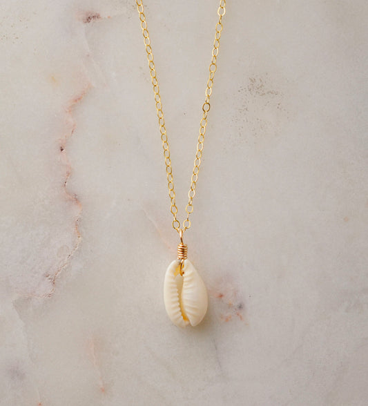 Single cowrie shell suspended from a 14k gold filled chain necklace.