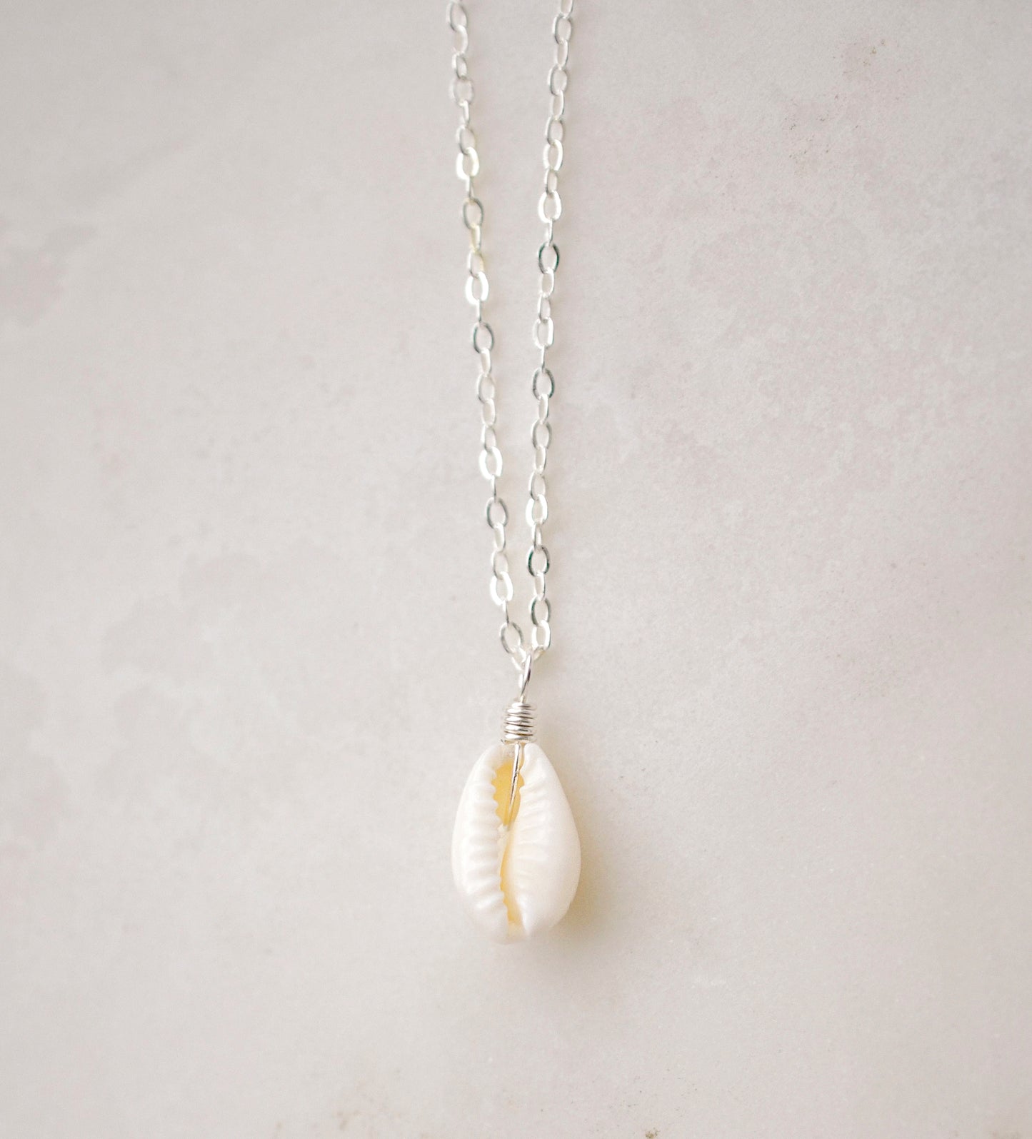 Single cowrie shell suspended from a sterling silver chain necklace.