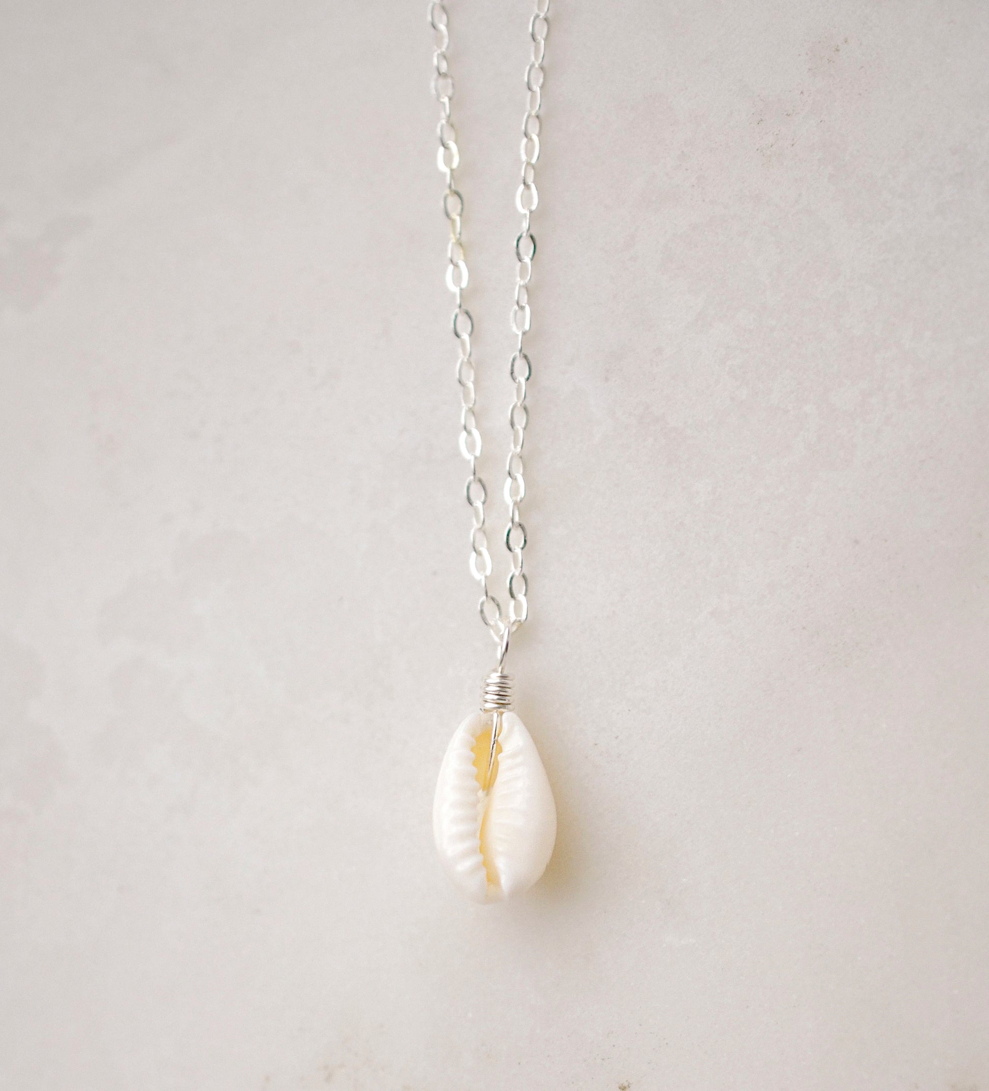 Single cowrie shell suspended from a sterling silver chain necklace.